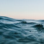 ¿Cuáles son las mejores aplicaciones para conocer el estado del mar?