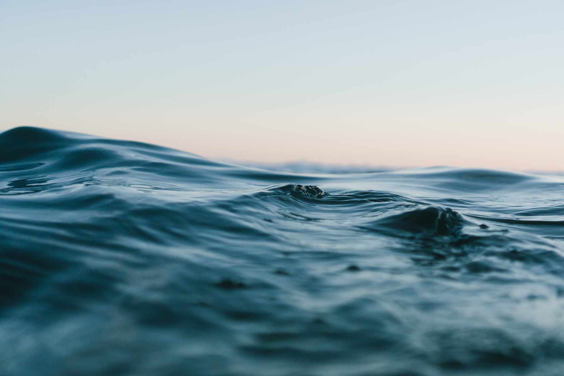 ¿Cuáles son las mejores aplicaciones para conocer el estado del mar?